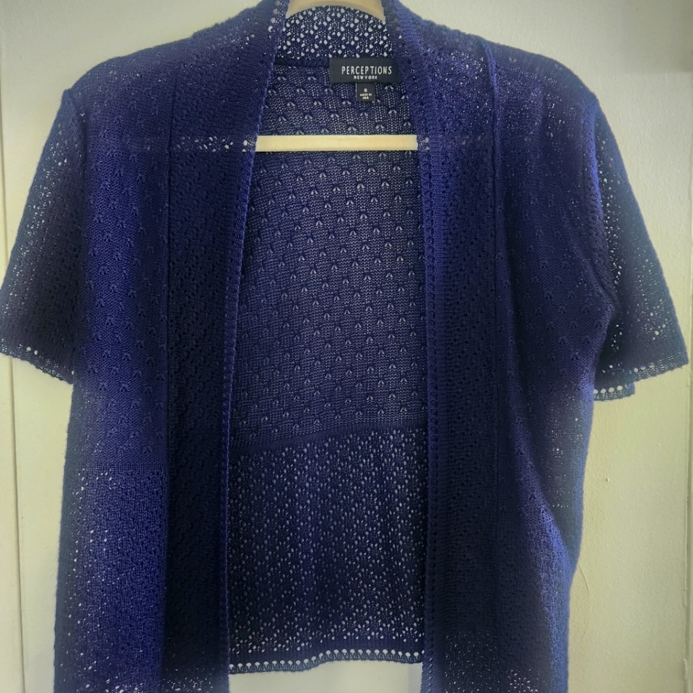 Perceptions Women's Blue Sweater